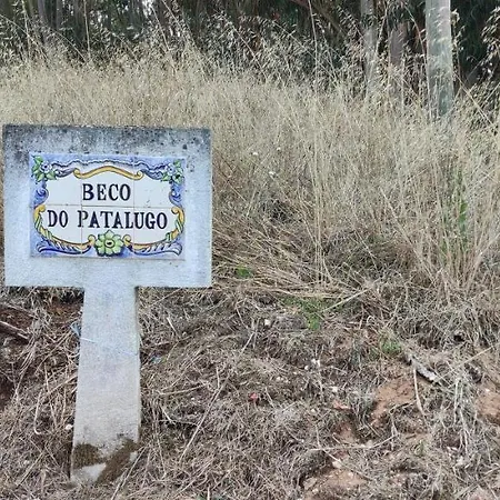 Beco Do Patalugo ホームステイ Salir de Matos