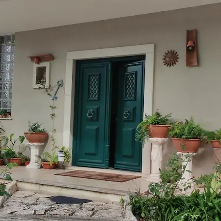 Beco Do Patalugo Homestay *